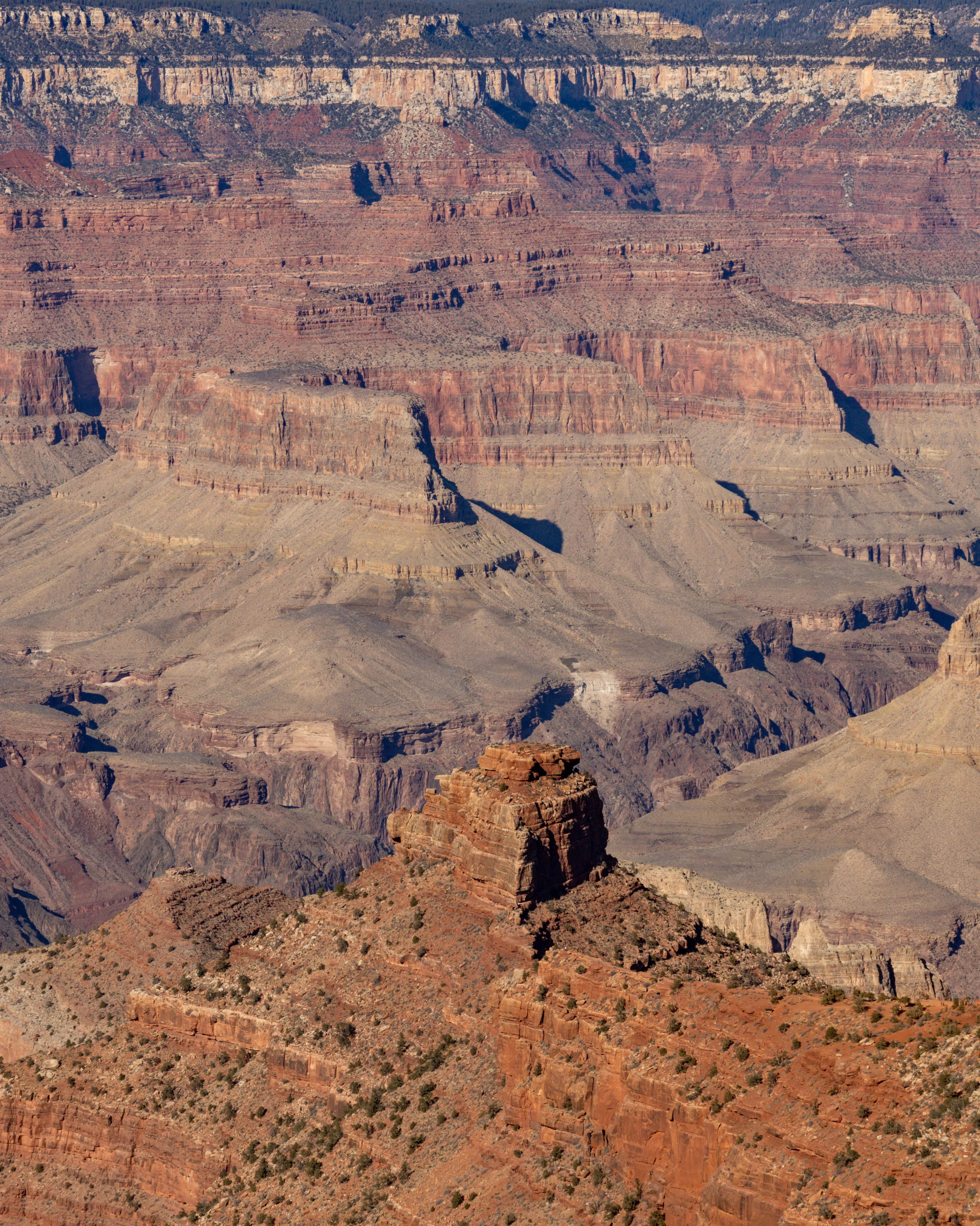 Arizona